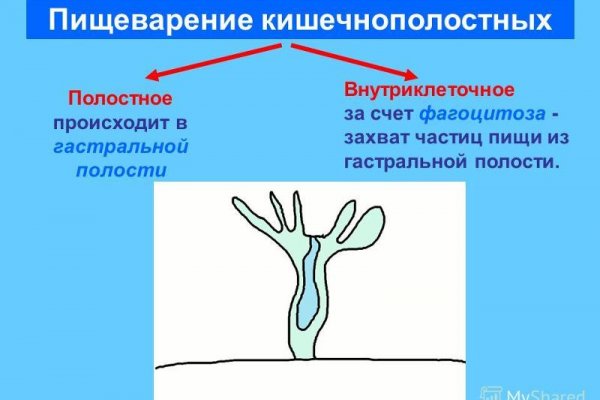 Кракен ворует аккаунты